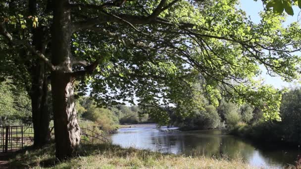 Beau parc et rivière à l'automne, Royaume-Uni, séquences 