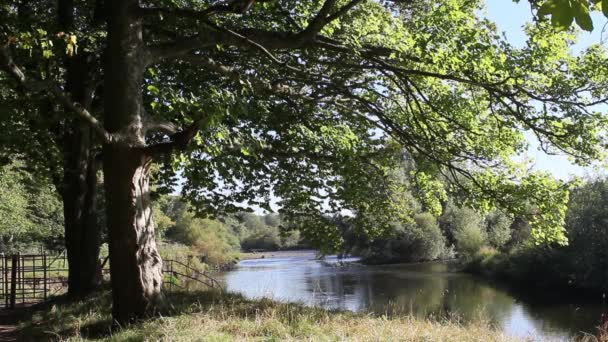 Schöner Park und Fluss in der Herbstzeit, Großbritannien, Filmmaterial — Stockvideo