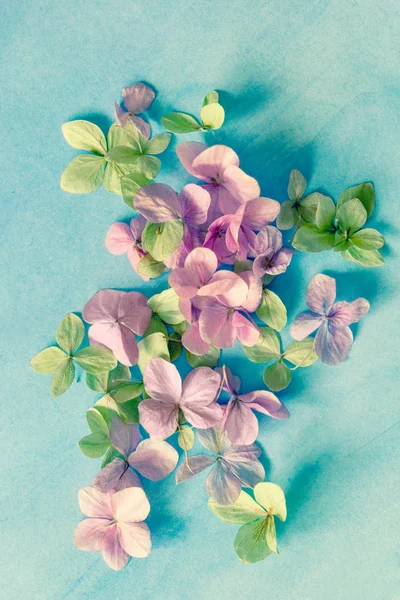 Subtil fundo floral artístico com flores hortensia — Fotografia de Stock