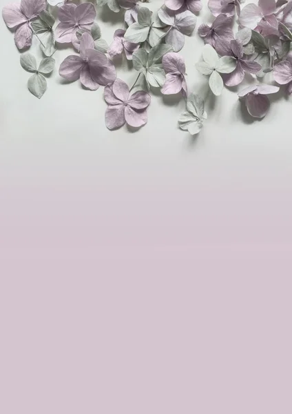 Sottile sfondo artistico floreale con fiori di ortensia — Foto Stock
