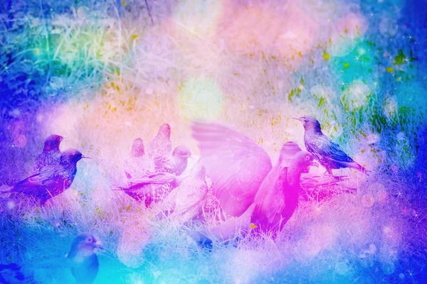 Мечтательная сцена в саду со скворцовыми птицами на траве — стоковое фото