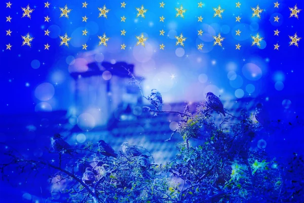 Scena invernale da sogno con uccelli stellati seduti sui rami degli alberi e con il camino sul tetto e sullo sfondo in giardino — Foto Stock