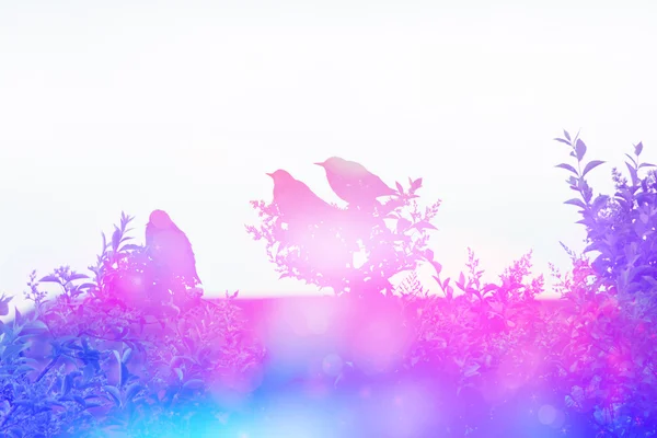 Cena de sonho com pássaros estorninhos no telhado no jardim — Fotografia de Stock