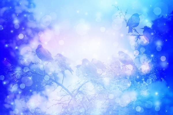 Dreamy winter scene with starling birds sittin on the tree branches in the garden — Stock Photo, Image