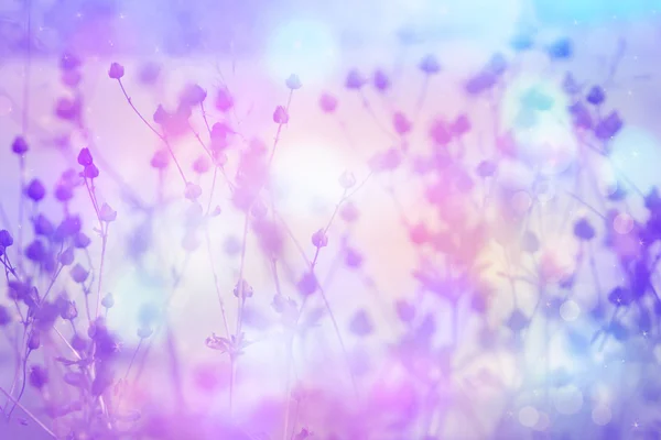 Soñador hermoso fondo floral con luces bokeh — Foto de Stock