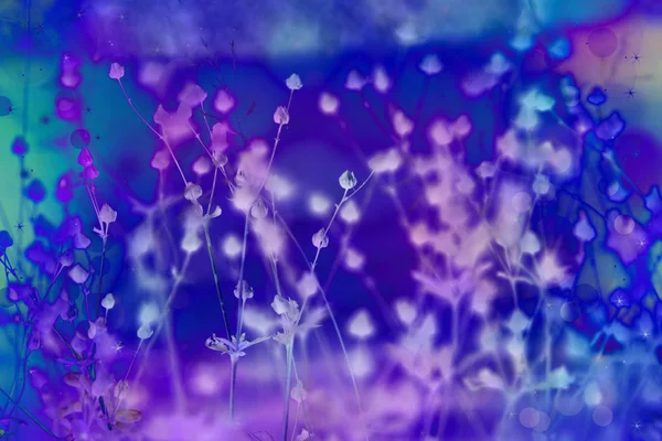 Dreamy bellissimo sfondo floreale con luci bokeh — Foto Stock