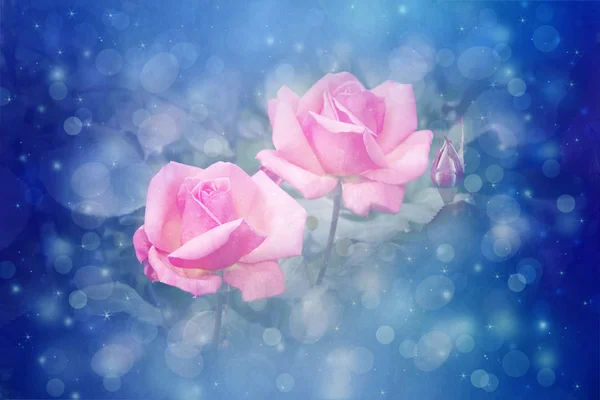 Hermosas rosas fondo artístico de ensueño con luces bokeh — Foto de Stock