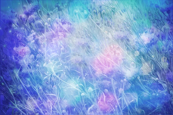 Drömmande vacker bakgrund med äng av blommor — Stockfoto