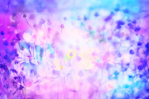 꿈꾸는 듯한 아름 다운 배경과 꽃의 초원 — 스톡 사진
