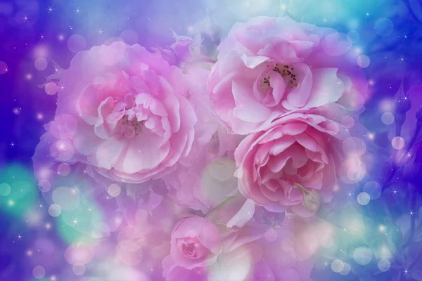 用浪漫的粉红玫瑰的美丽艺术背景 — 图库照片