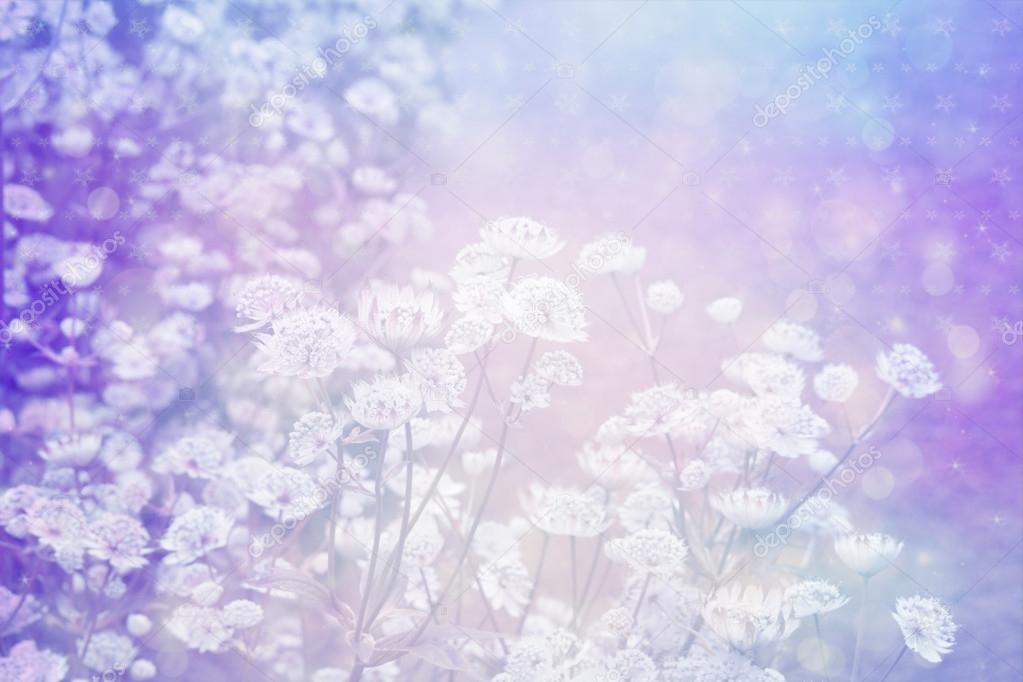 Dreamy beautiful background with meadow of flowers 