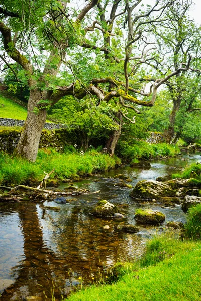 Malham Бек, землі Йоркшир, Англія — стокове фото