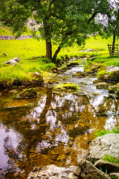 Malham Бек, землі Йоркшир, Англія — стокове фото