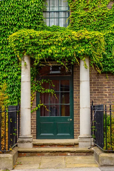 Schönes Haus mit grünem Efeu bedeckt — Stockfoto