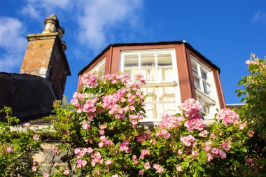 Gülleri sarmaşık pembe olan bir ev