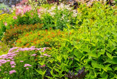 Güzel duvarlı Bahçe, İngiltere