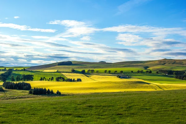 Britse landschap in de zomer — Stockfoto