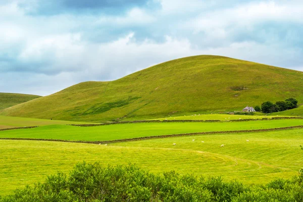 约克郡山谷，在夏天，英格兰，英国景观. — 图库照片