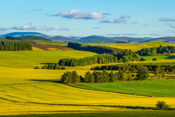 Brytyjski pejzaż latem — Zdjęcie stockowe