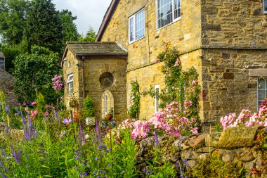 Gülleri sarmaşık pembe olan bir ev
