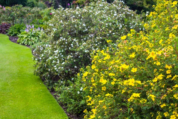 Schöner Garten mit einer Vielzahl von Bäumen und Sträuchern — Stockfoto