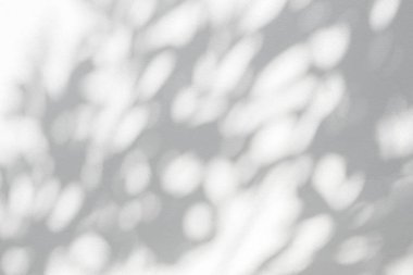 Ağaç gölgesi ve yaprak dalı. Doğa, arka plan duvar kağıdı ve herhangi bir arzu için beyaz beton duvar dokusuna lekelenmiş ağaç dalları koyu gölge ve güneş ışığı bırakır.