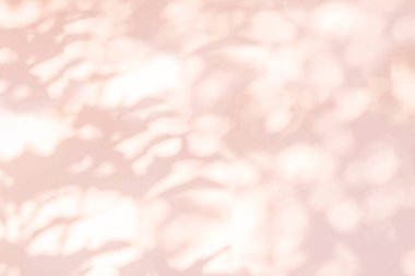 Arka planda yaprak gölgesi ve ağaç dalı var. Doğa, beyaz beton duvar dokusunda, ağaç dalları, pembe gölgeler ve güneş ışığı bırakır. 