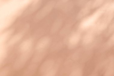 Yaprakların soyut ışık gölgesi bulanık arkaplan. Doğal çapraz yapraklar ağaç dalı pembe gül altın gölgeleri ve güneş ışığı arka plan duvar kağıdı için beyaz beton duvar dokusu ve arzu üzerine lekelenmiş