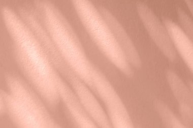 Bokeh yapraklarının soyut ışık gölgesi bulanık arkaplan. Doğal çapraz yapraklar ağaç dalı pembe gül altın gölgeleri ve beyaz duvar dokusuna benekli güneş ışığı 