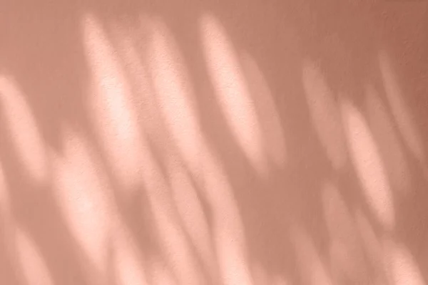 Αφηρημένη Ελαφριά Σκιά Των Φύλλων Bokeh Θολή Φόντο Φυσικά Διαγώνια — Φωτογραφία Αρχείου