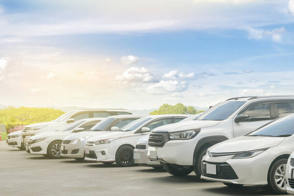 Cars parking in asphalt parking lot in a row with blue sky background. Outdoor parking lot with fresh ozone, green nature environment of transportation and technology concep