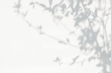 Ağaç gölgesi ve yapraklı ışık, ağaç dalı, beyaz duvar zemininde gölge bokeh, monokrom, siyah beyaz ve gri Shado