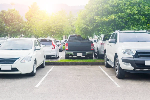 Parking Zaparkowany Parkingu Asfaltowym Puste Miejsce Parkingowe Przyrodzie Tłem Drzew — Zdjęcie stockowe
