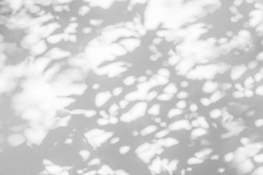 Yaprakların gölgesi ve güneş ışığı yansıması. Ormanın gri gölgesi ve beton duvarda duvar kâğıdı için ışıklandırma, gölgeler örtüsü efekti, taklit tasarım. Siyah ve beyaz sanatsal arkaplan