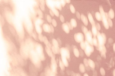 Pembe yaprakların soyut ışık gölgesi bokeh bulanık arkaplan. Doğal çapraz yapraklar ağaç dalı bej gölgeler ve beyaz duvar dokusuna benekli güneş ışığı