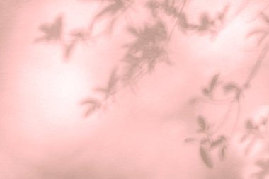 Duvarda yaprak gölgesi ve ağaç dalı var. Doğa, arka planda ağaç dalları olan pembe gölgeyi ve güneş ışığından gelen ışığı bırakır. Yeşillik modellemesi için gölge örtüsü efekti, pankart grafik düzeneği