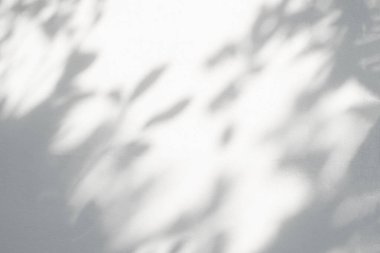 Yaprak gölgesi ve duvardaki ışık arka planda bulanıklık, gölge efekti dalga geçme efekti