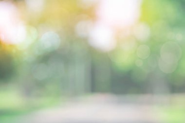 Park arka planında bulanık yeşil ağaç. Bahçede yürüyüş yolu olan doğal ağaçlar ve çimenler. Güneş ışığı ve gökyüzünden gelen ışık. Soyut bulanık doğa manzarası yeşil çevre kavramı