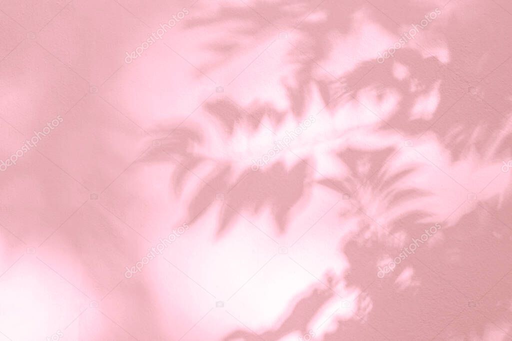 Shadow and light of leaves tree branch blur background. Natural  colorful leaf pink shadow and light from sunlight dappled on white wall texture for wallpaper overlay and any desig