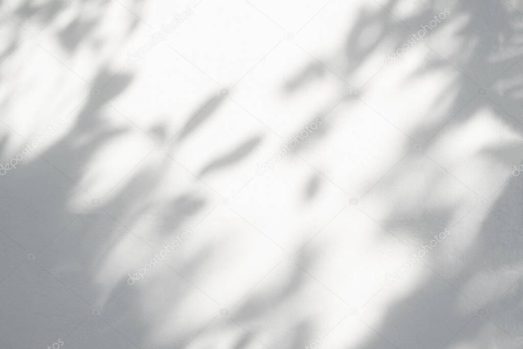 Leaf shadow and light on wall nature blur background, shadow overlay effect foliage mocku