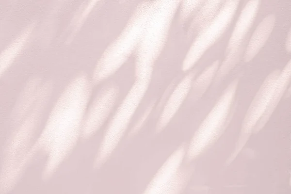 Abstract Leaves Shadow Background Pink Light Bokeh Tree Branch Concrete — Stock Photo, Image