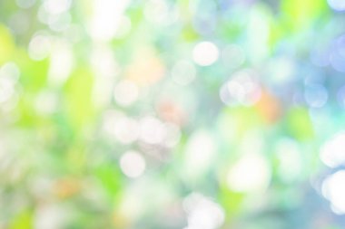 Doğa, yeşil soyut arkaplanı bulanıklaştırıyor. Yeşil yaprak yaprakları üzerinde güneş ışığı batar, yapraklar bulanıklaşır ilkbaharda güneşli bir günde veya toplamda