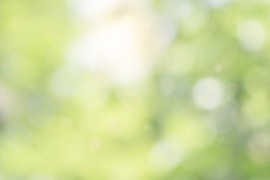 Doğa bulanık yeşil yaprak ve soyut arkaplan. Güneş ışığı doğası yeşil yaprak ve ışık soyut arkaplan. Parktaki yeşil yaprak yapraklarının üzerinde güneş ışığı batıyor. Bulanık yapraklar. Bahar ya da yaz güneşli bir günde.