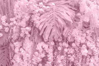 Pembe çiçek arka planı. Pembe pastel canavarlar ve çiçekler.