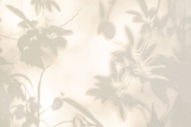 Yaprakların hafif gölgesi ve ağaç dalı arka planı. Doğal yapraklar ağaç dalları bej gölgeler ve beyaz duvar dokusunda güneş ışığı, gölge örtüsü mozaiği, grafik düzenleme, duvar kağıdı, tasarım