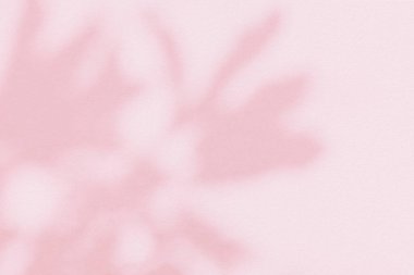 Açık ve koyu pembe renkli, soyut arkaplan. Beyaz duvar dokusunda doğal gölgeler ve güneş ışığı çapraz kırılması. Gölge kaplama efekti yeşillik modelleme, pankart grafik düzenleme