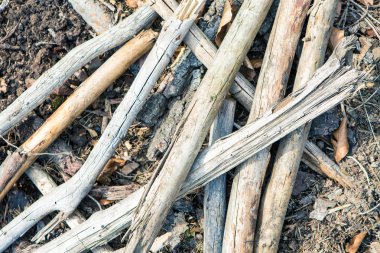 kahverengi ağaç malzeme