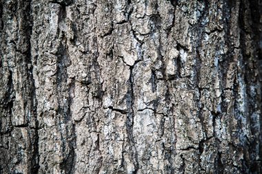 kahverengi ağaç malzeme yapısı