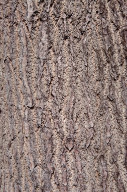 kahverengi ağaç malzeme yapısı