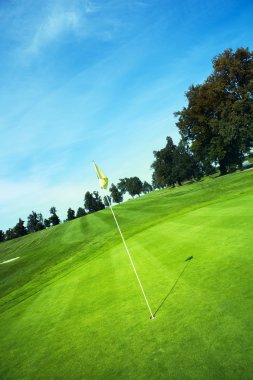 Yeşil delik golf bayrak